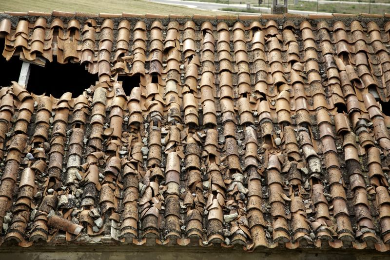 Tile Damage Repair